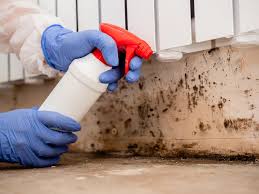 Why You Should Choose Our Mold Remediation Services in Elkton, MD